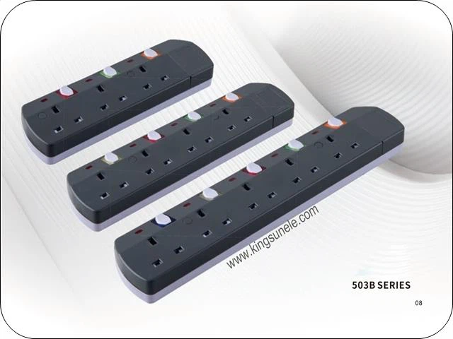 Shaxsiy kalit bilan BS standart uzatma qo'rg'oshin